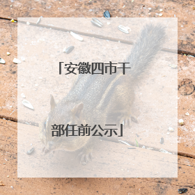 安徽四市干部任前公示