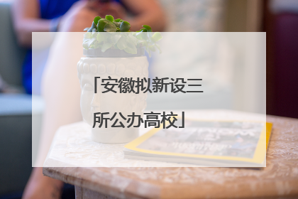 安徽拟新设三所公办高校