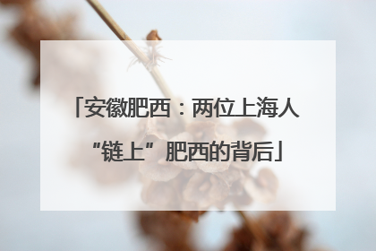 安徽肥西：两位上海人“链上”肥西的背后