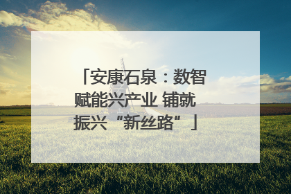 安康石泉：数智赋能兴产业 铺就振兴“新丝路”