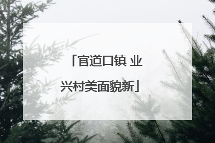 官道口镇 业兴村美面貌新