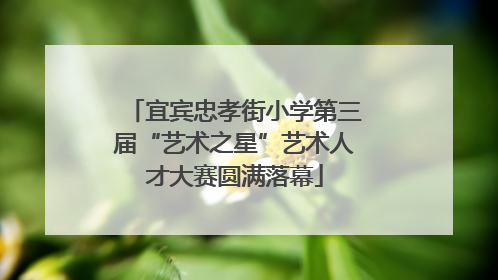宜宾忠孝街小学第三届“艺术之星”艺术人才大赛圆满落幕