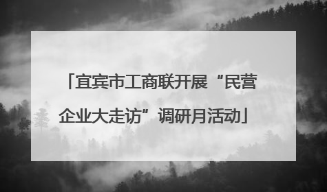 宜宾市工商联开展“民营企业大走访”调研月活动