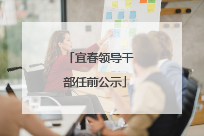 宜春领导干部任前公示
