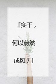 实干，何以蔚然成风？