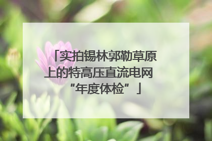 实拍锡林郭勒草原上的特高压直流电网“年度体检”