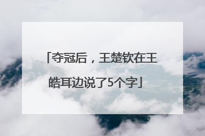 夺冠后，王楚钦在王皓耳边说了5个字