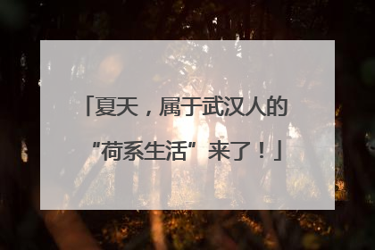夏天，属于武汉人的“荷系生活”来了！