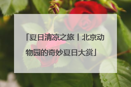 夏日清凉之旅丨北京动物园的奇妙夏日大赏