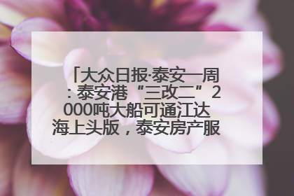 大众日报·泰安一周：泰安港“三改二”2000吨大船可通江达海上头版，泰安房产服务改革经验全省推广