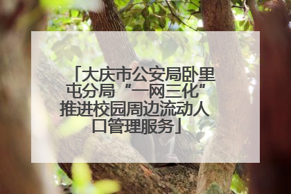大庆市公安局卧里屯分局“一网三化”推进校园周边流动人口管理服务