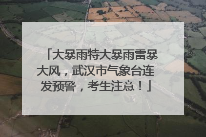 大暴雨特大暴雨雷暴大风，武汉市气象台连发预警，考生注意！