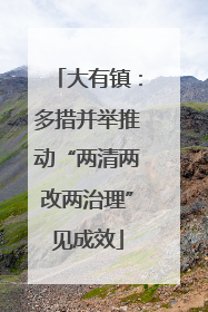 大有镇：多措并举推动“两清两改两治理”见成效