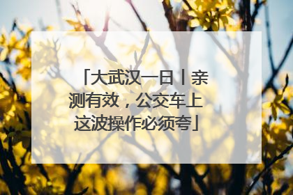 大武汉一日丨亲测有效，公交车上这波操作必须夸