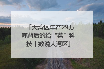 大湾区年产29万吨背后的给“荔”科技｜数说大湾区