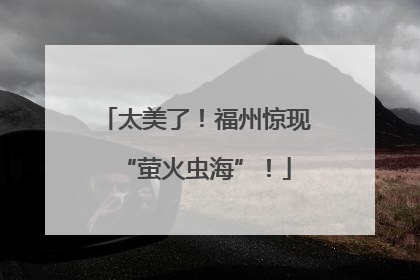 太美了！福州惊现“萤火虫海”！