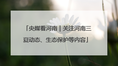 央媒看河南｜关注河南三夏动态、生态保护等内容