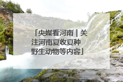 央媒看河南｜关注河南夏收夏种 野生动物等内容