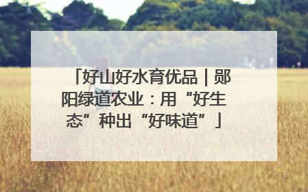 好山好水育优品｜郧阳绿道农业：用“好生态”种出“好味道”