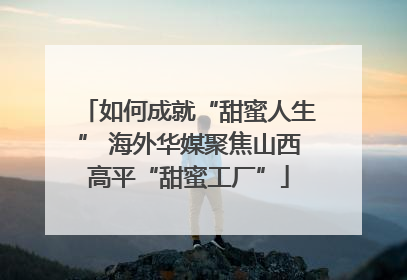 如何成就“甜蜜人生” 海外华媒聚焦山西高平“甜蜜工厂”
