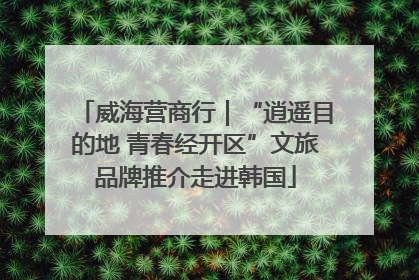 威海营商行｜“逍遥目的地 青春经开区”文旅品牌推介走进韩国