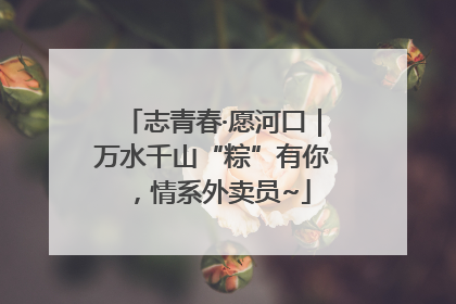 志青春·愿河口｜万水千山“粽”有你，情系外卖员~