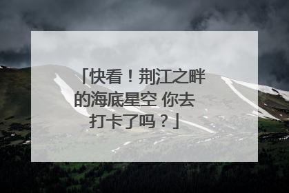 快看！荆江之畔的海底星空 你去打卡了吗？