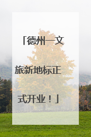 德州一文旅新地标正式开业！