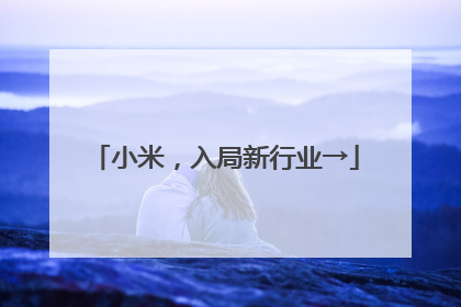 小米，入局新行业→