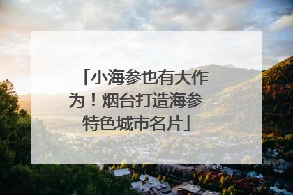 小海参也有大作为！烟台打造海参特色城市名片