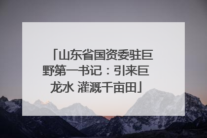 山东省国资委驻巨野第一书记：引来巨龙水 灌溉千亩田