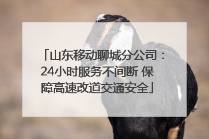 山东移动聊城分公司：24小时服务不间断 保障高速改道交通安全