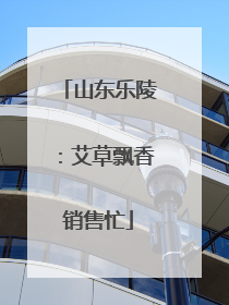 山东乐陵：艾草飘香销售忙