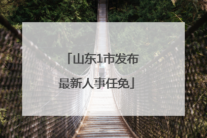 山东1市发布最新人事任免