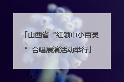 山西省“红领巾小百灵”合唱展演活动举行