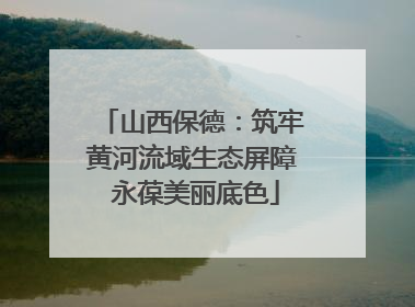 山西保德：筑牢黄河流域生态屏障 永葆美丽底色