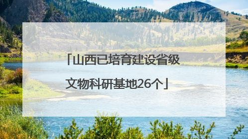 山西已培育建设省级文物科研基地26个