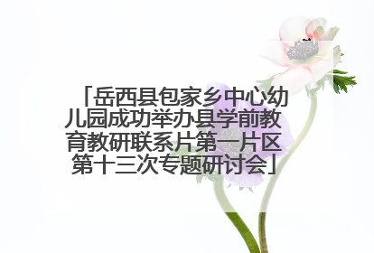 岳西县包家乡中心幼儿园成功举办县学前教育教研联系片第一片区第十三次专题研讨会