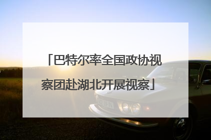巴特尔率全国政协视察团赴湖北开展视察