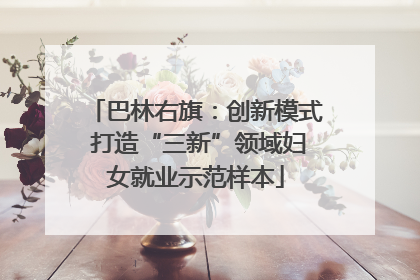 巴林右旗：创新模式 打造“三新”领域妇女就业示范样本