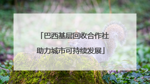 巴西基层回收合作社助力城市可持续发展