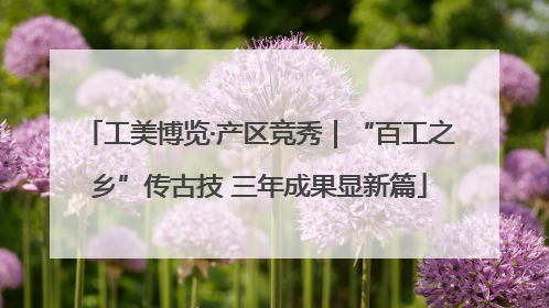 工美博览·产区竞秀｜“百工之乡”传古技 三年成果显新篇