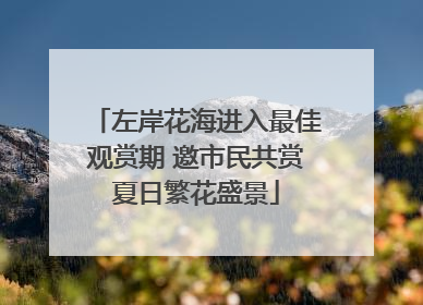 左岸花海进入最佳观赏期 邀市民共赏夏日繁花盛景