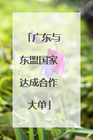 广东与东盟国家达成合作大单