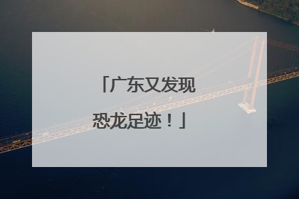 广东又发现恐龙足迹！