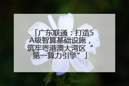 广东联通：打造5A级智算基础设施，筑牢粤港澳大湾区“第一算力引擎”