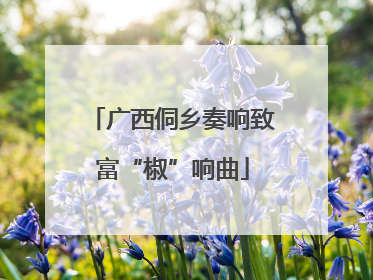 广西侗乡奏响致富“椒”响曲