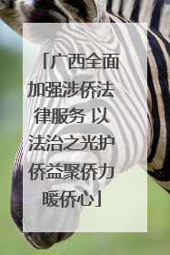 广西全面加强涉侨法律服务 以法治之光护侨益聚侨力暖侨心