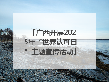 广西开展2025年“世界认可日”主题宣传活动