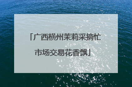 广西横州茉莉采摘忙 市场交易花香飘